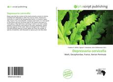 Borítókép a  Depressaria cervicella - hoz