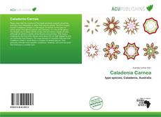 Caladenia Carnea的封面