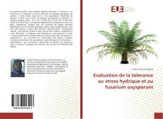 Bookcover of Evaluation de la tolerance au stress hydrique et au fusarium oxysporum