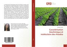 Bookcover of Caractérisation biochimique et moléculaire des rhizobia