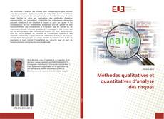 Bookcover of Méthodes qualitatives et quantitatives d’analyse des risques