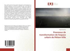 Couverture de Processus de transformation de l'espace urbain de Pétion-Ville