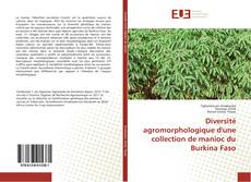 Buchcover von Diversité agromorphologique d'une collection de manioc du Burkina Faso