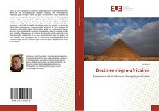 Destinée négro-africaine kitap kapağı