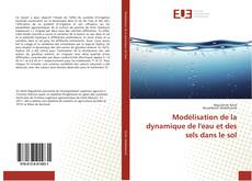 Copertina di Modélisation de la dynamique de l'eau et des sels dans le sol