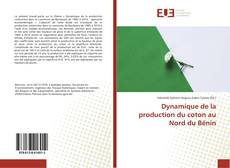 Bookcover of Dynamique de la production du coton au Nord du Bénin