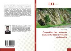 Buchcover von Correction des ravins au niveau du bassin versant de l'Ourika