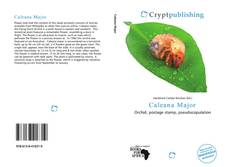 Bookcover of Caleana Major