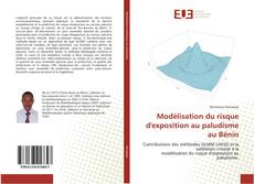 Modélisation du risque d'exposition au paludisme au Bénin的封面