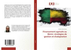 Bookcover of Financement agricole au Bénin: stratégies de gestion et d'adaptation