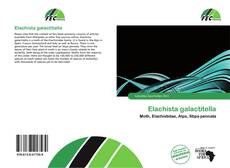 Обложка Elachista galactitella