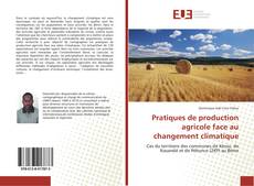 Pratiques de production agricole face au changement climatique kitap kapağı