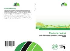 Copertina di Elachista heringi