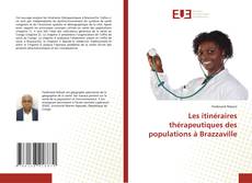 Copertina di Les itinéraires thérapeutiques des populations à Brazzaville
