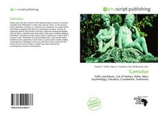 Camulus kitap kapağı