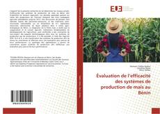 Copertina di Évaluation de l’efficacité des systèmes de production de maïs au Bénin