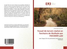 Copertina di Travail de terrain réalisé en Territoire de Walikale par FOCODER asbl