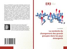 La conduite du changement des grands groupes dans les pays émergents的封面