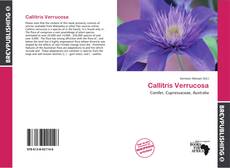 Buchcover von Callitris Verrucosa