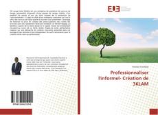 Copertina di Professionnaliser l'informel- Création de 3KLAM