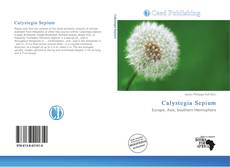 Portada del libro de Calystegia Sepium