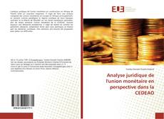 Copertina di Analyse juridique de l'union monétaire en perspective dans la CEDEAO
