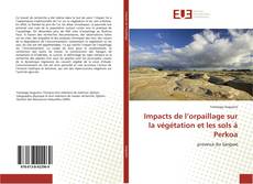 Copertina di Impacts de l’orpaillage sur la végétation et les sols à Perkoa