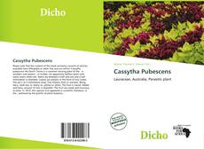 Couverture de Cassytha Pubescens
