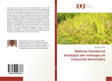 Bookcover of Maîtrise foncière et stratégies des ménages en insécurité alimentaire