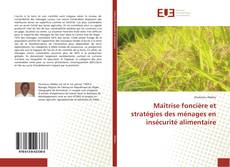 Copertina di Maîtrise foncière et stratégies des ménages en insécurité alimentaire