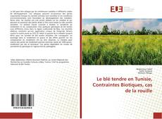 Copertina di Le blé tendre en Tunisie, Contraintes Biotiques, cas de la rouille