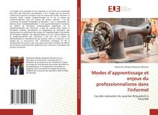 Copertina di Modes d’apprentissage et enjeux du professionnalisme dans l'informel