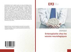 Copertina di Enteroplastie chez les vessies neurologiques