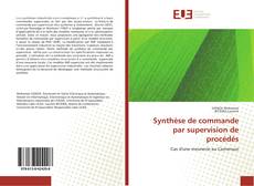 Copertina di Synthèse de commande par supervision de procédés