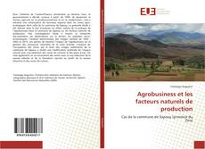 Buchcover von Agrobusiness et les facteurs naturels de production