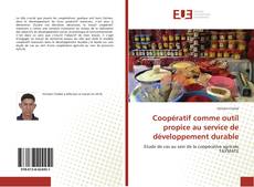 Copertina di Coopératif comme outil propice au service de développement durable
