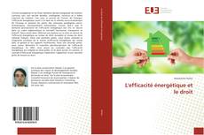 Bookcover of L'efficacité énergétique et le droit