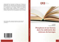 Copertina di Phosphore et ses formes dans les sédiments des retenues de barrages