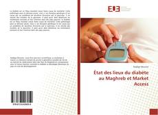 Copertina di État des lieux du diabète au Maghreb et Market Access