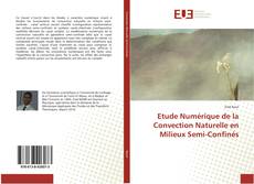 Copertina di Etude Numérique de la Convection Naturelle en Milieux Semi-Confinés