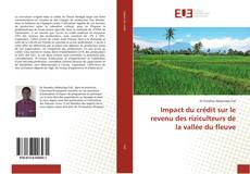 Copertina di Impact du crédit sur le revenu des riziculteurs de la vallée du fleuve