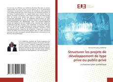 Copertina di Structurer les projets de développement de type prive ou public-privé