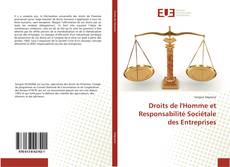 Copertina di Droits de l'Homme et Responsabilité Sociétale des Entreprises