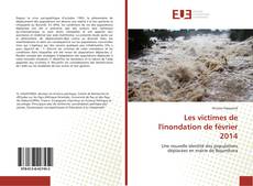 Copertina di Les victimes de l'inondation de février 2014