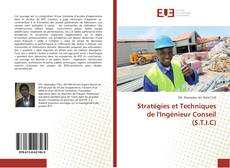 Copertina di Stratégies et Techniques de l'Ingénieur Conseil (S.T.I.C)