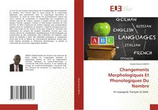 Changements Morphologiques Et Phonologiques Du Nombre kitap kapağı