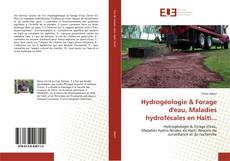 Copertina di Hydrogéologie & Forage d'eau, Maladies hydrofécales en Haiti...