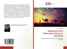 Copertina di Diagnostic de la Tuberculose Ovine en Ranching