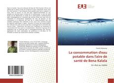 Copertina di La consommation d'eau potable dans l'aire de santé de Bena Kalala