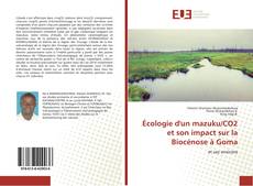 Buchcover von Écologie d'un mazuku/CO2 et son impact sur la Biocénose à Goma